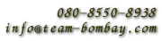 080-8550-8938 info@team-bombay.com 